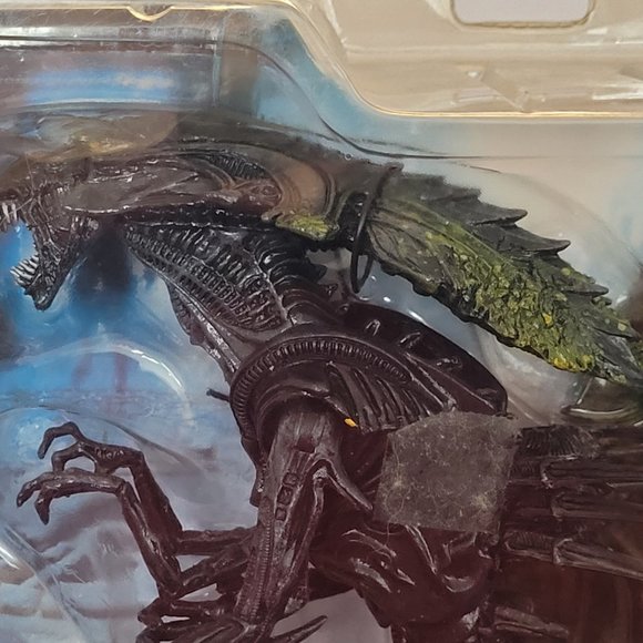 2005 ALIEN VS PREDATOR ACTION FIGURES, COMPLETE SET, MINT IN THE BOX!!! - Picture 8 of 10